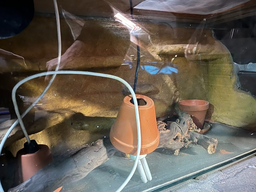 Terárium pro suchozemské plazy - 5