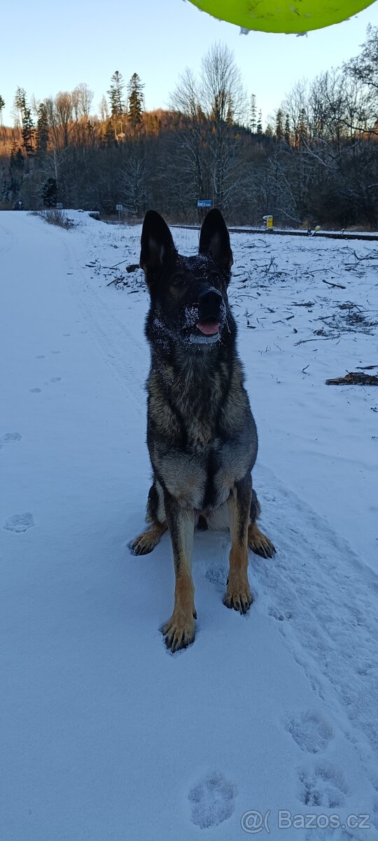 Do dobrých rukou - 5