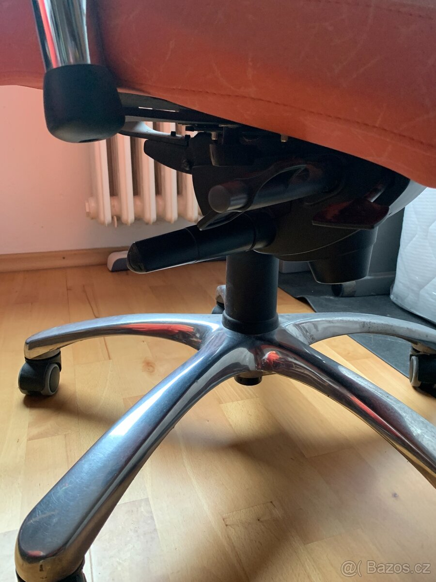 Zdravotní židle THERAPIA XL - 5