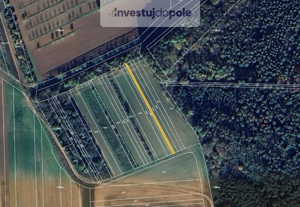 Prodej podílu 1/2 pole 571 m², Moravský Písek - 5