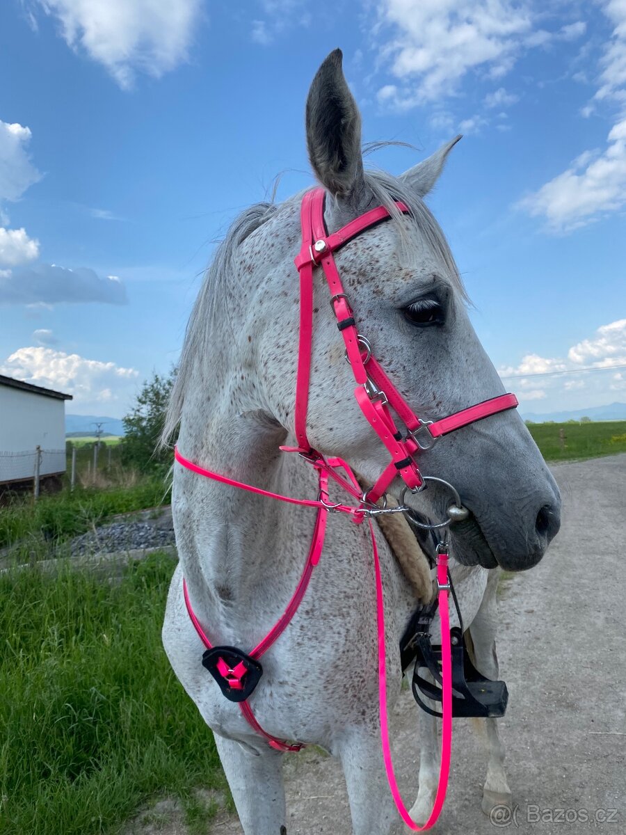 Biothane poprsak+ vidlice - 5