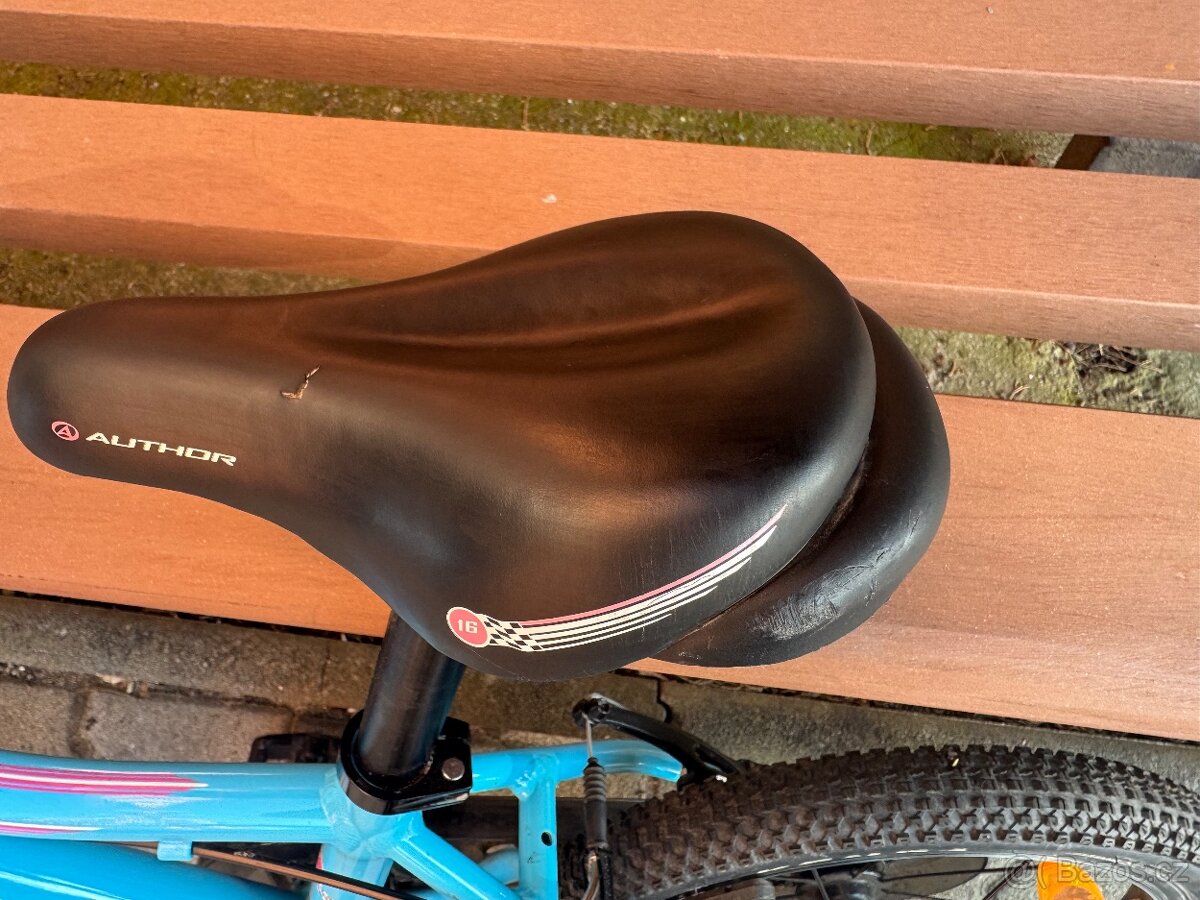 Author Record 16 - 5