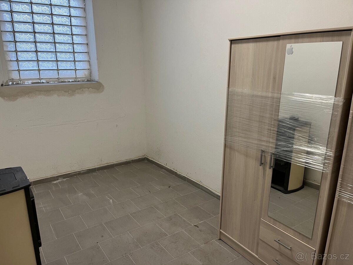 Komerční objekt / dílna / garáž – Světec u Teplic - 5