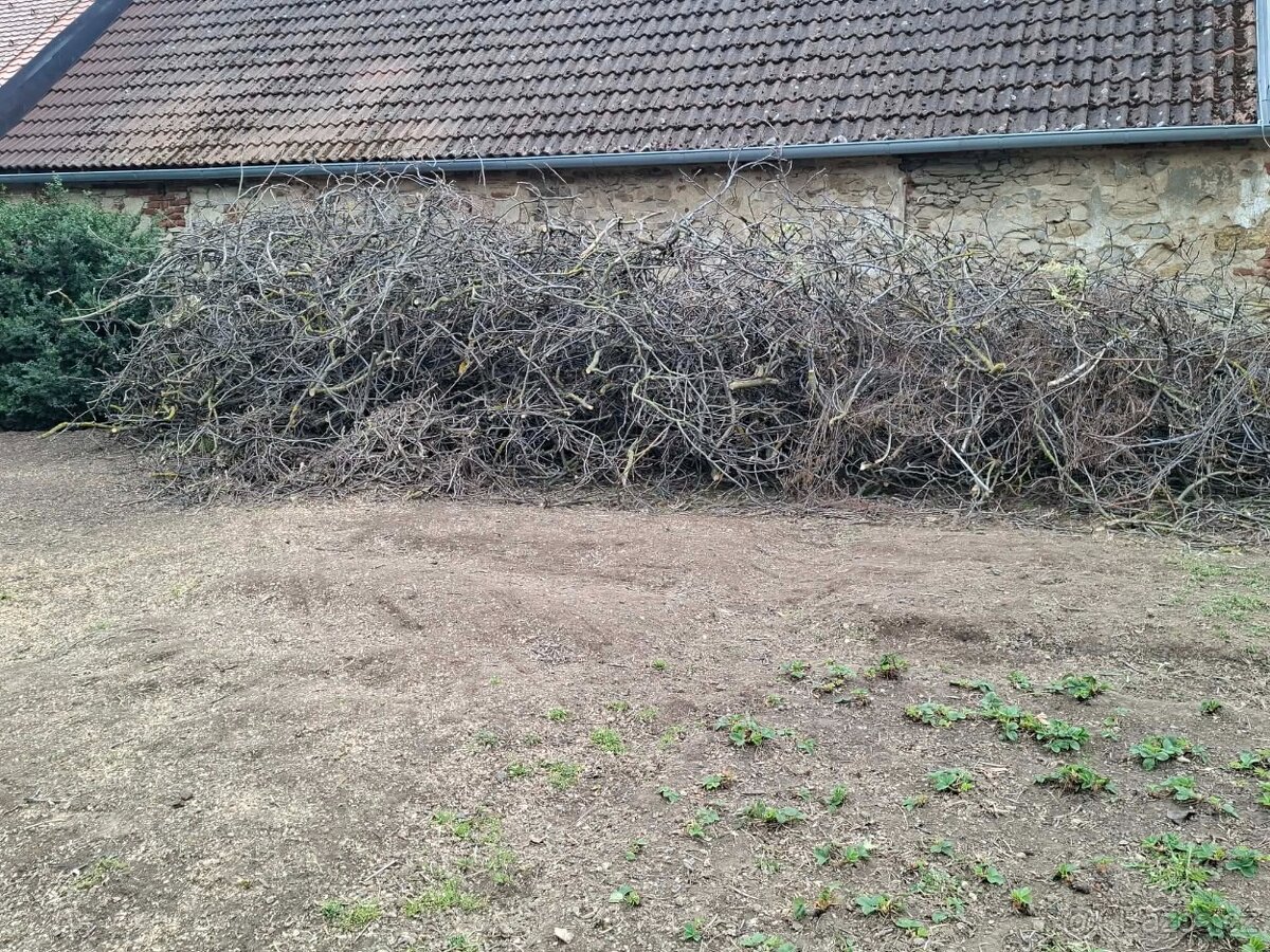 Ořechové dřevo - 5