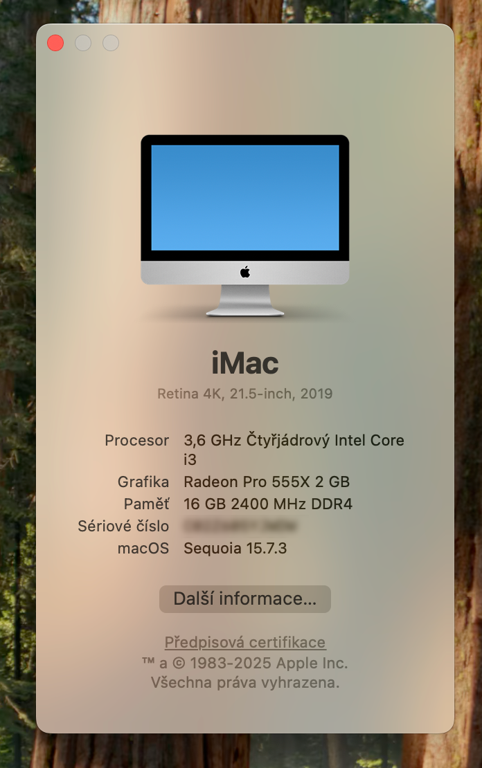 Apple iMac 21,5” 2019 4K, 16 GB RAM, 512 GB SSD, set - 5