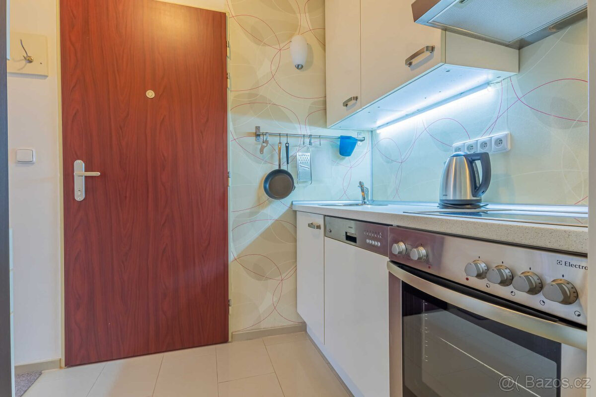 Pronájem bytu 1+1, U Pernštejnských, Praha - Nusle, Praha 4 - 5