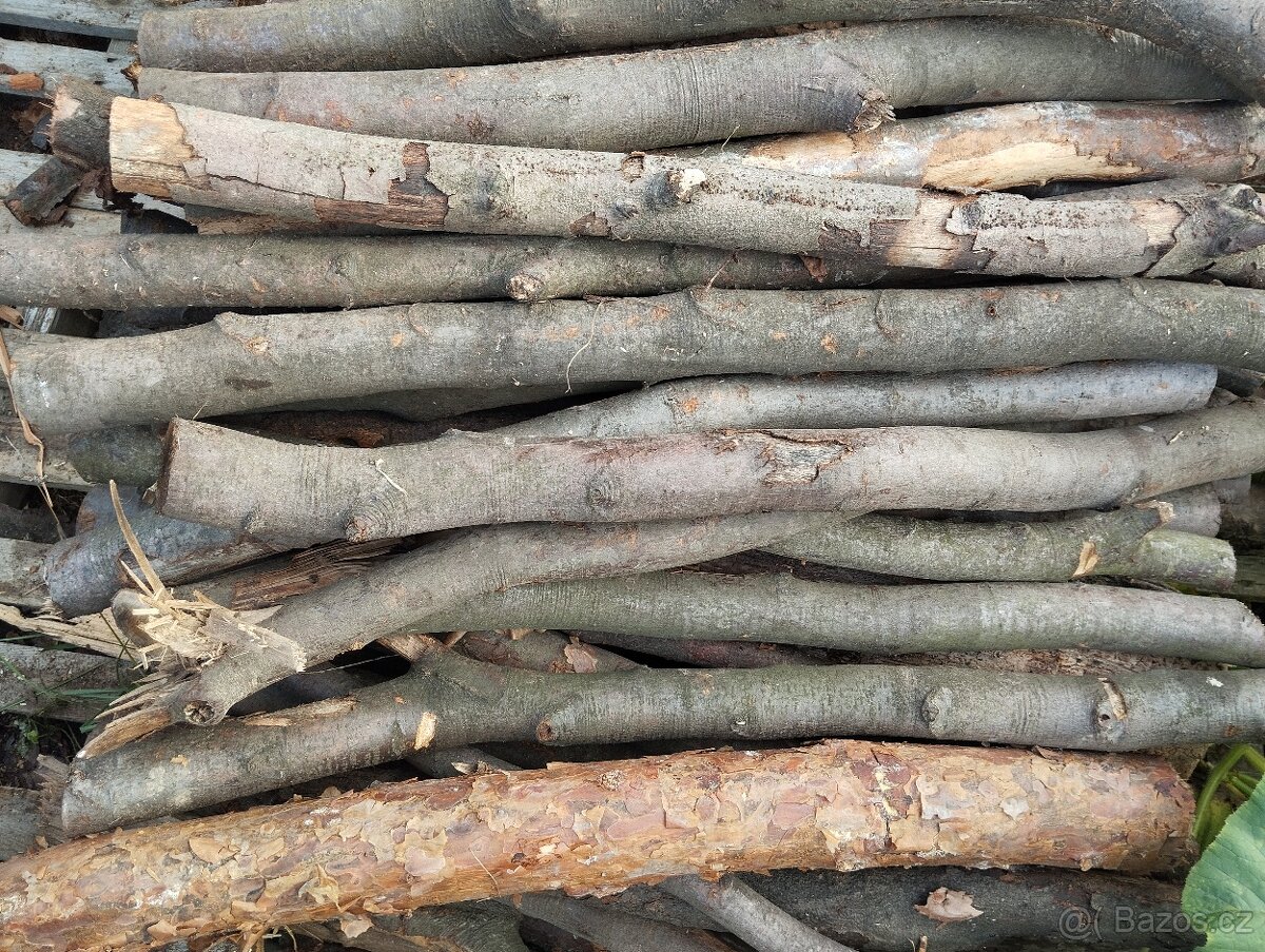 Dřevo - 5