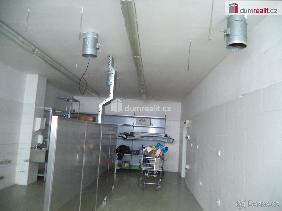 Pronájem komerčního prostoru 175m2 v O-Hrabové - 5