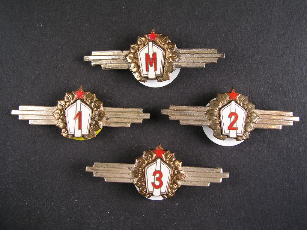 MÁM ZÁJEM O TYHLE VOJENSKÉ ODZNAKY✅ - 5