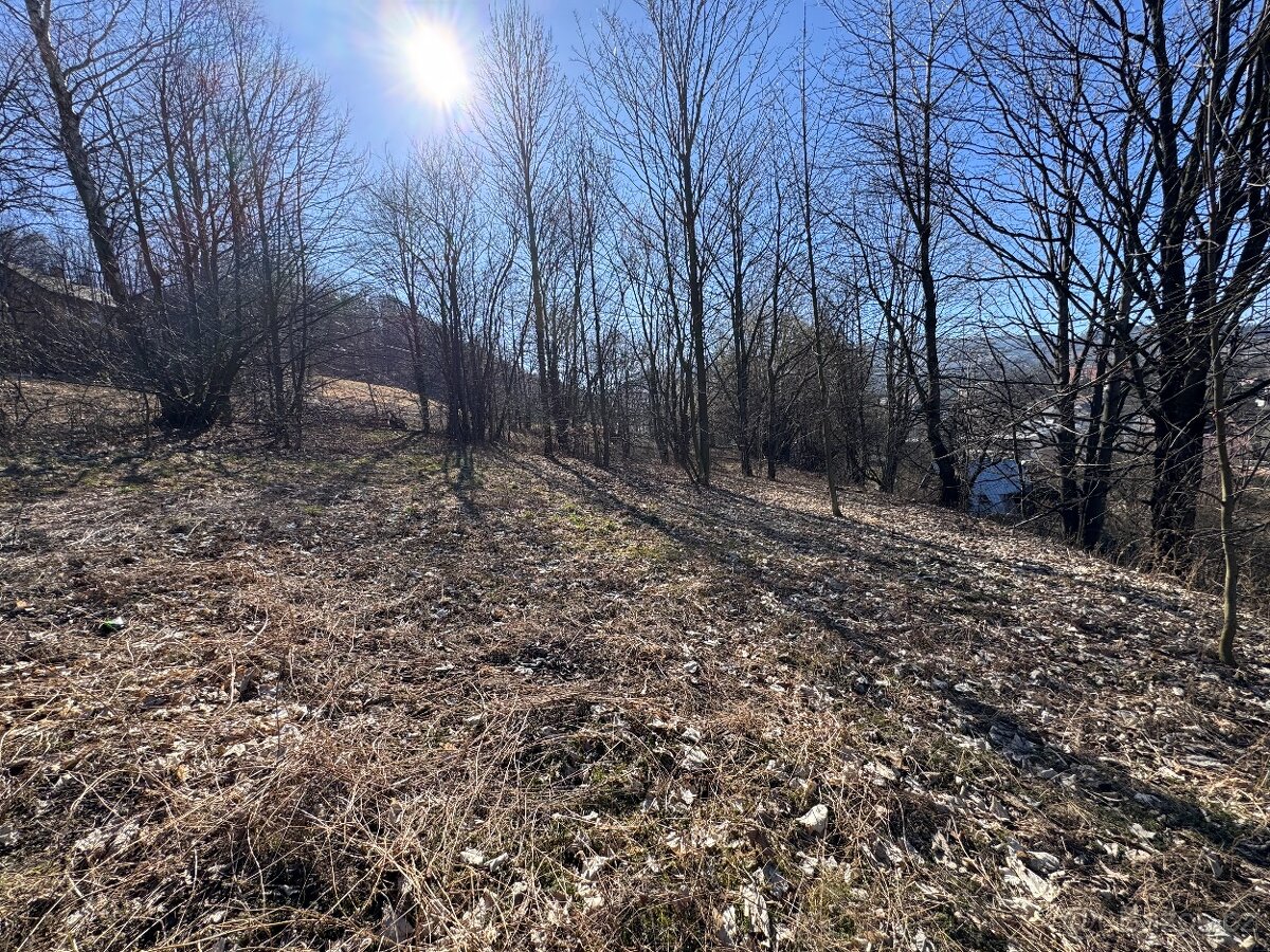 Prodej stavebního pozemku, 5589 m², U Sv. Rocha, Zlaté Hory. - 5