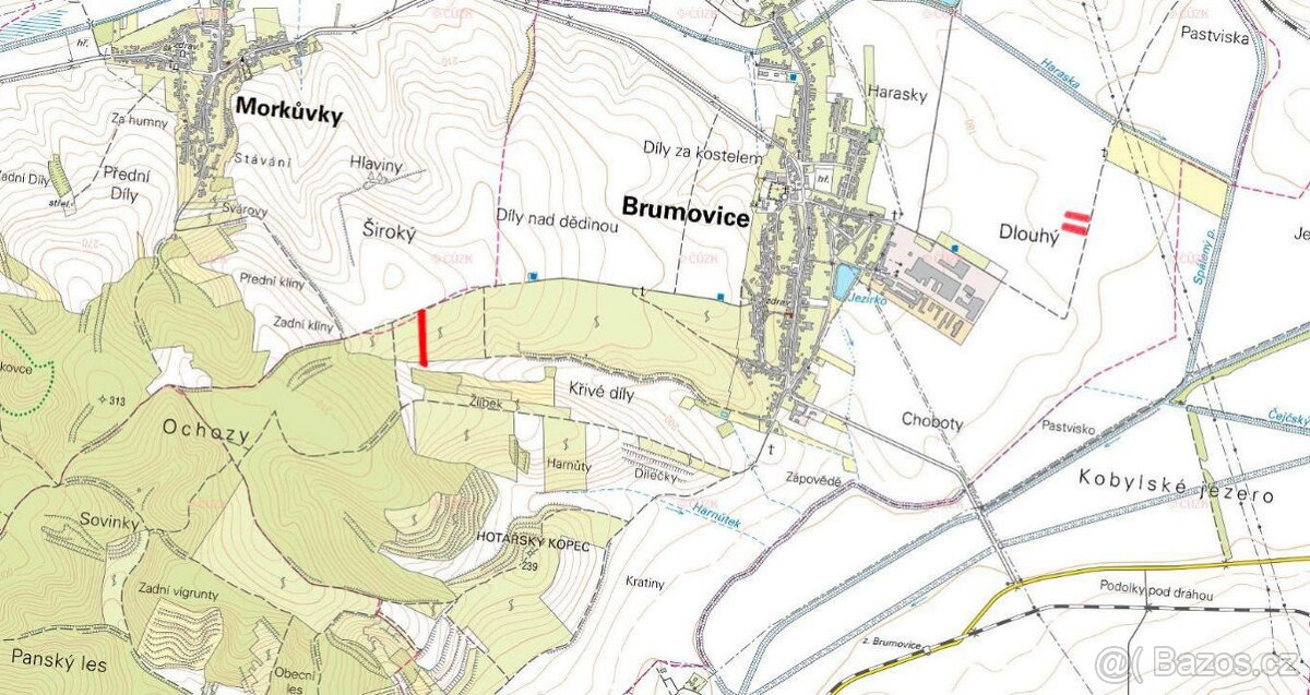 Louka, prodej, Brumovice, Břeclav - 5
