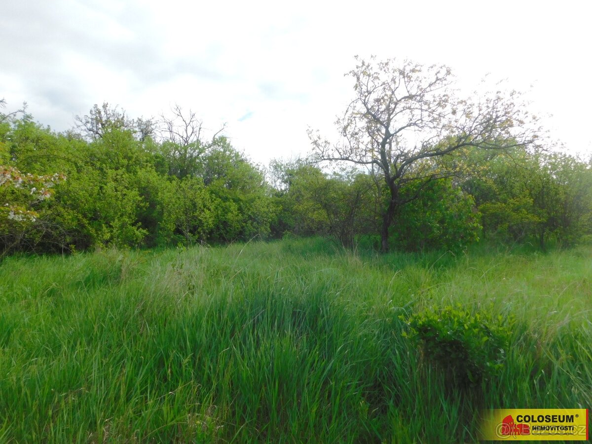 Znojmo, zahrada 473 m2, elektřina, voda, ovocné stromy - zah - 5