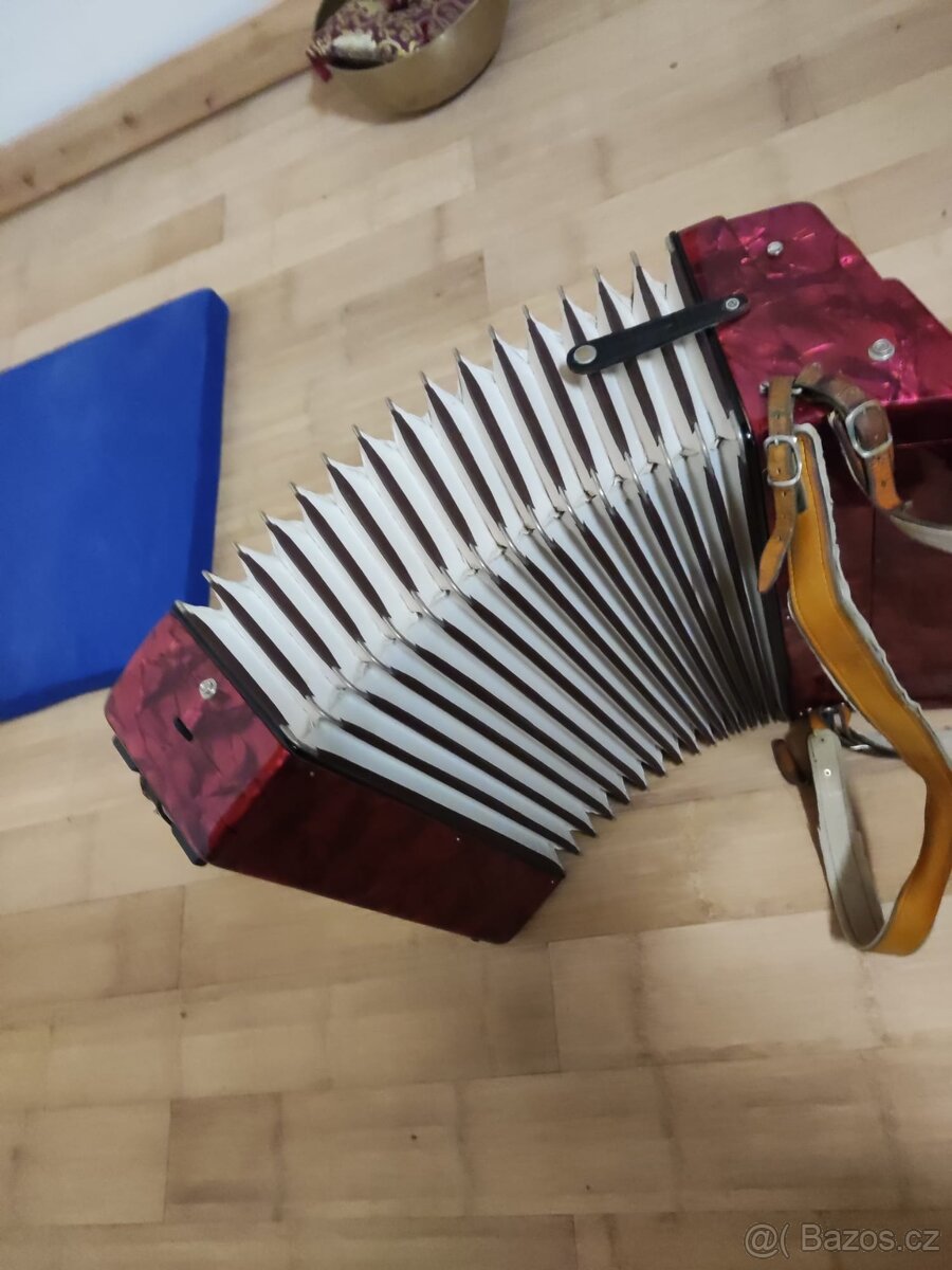 Akordeon Barcarole Proffesional - 5