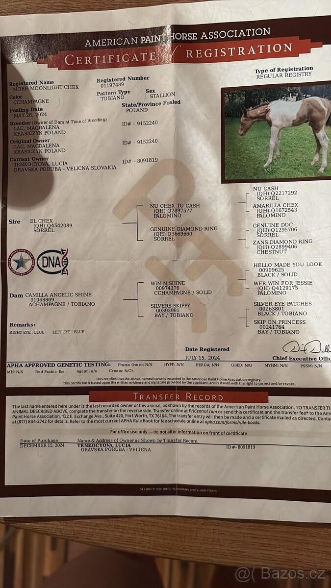 APH More Moonlight Chex - 5