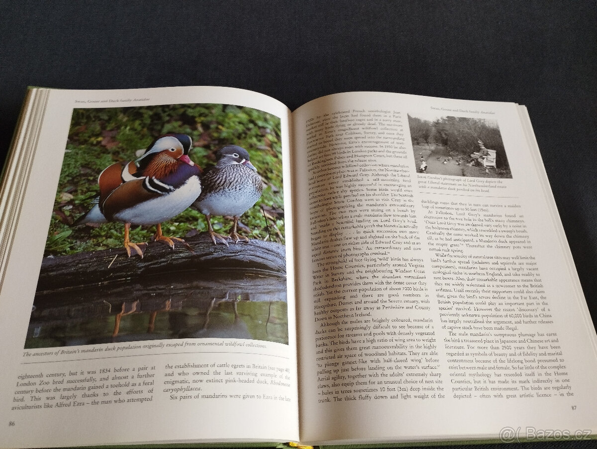 Birds Britannica - 5