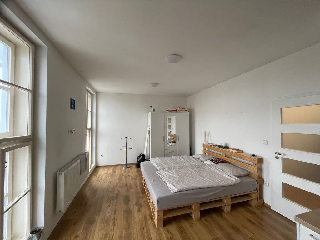 Pronájem světlého slunného bytu 1+kk v Třebíči - 5