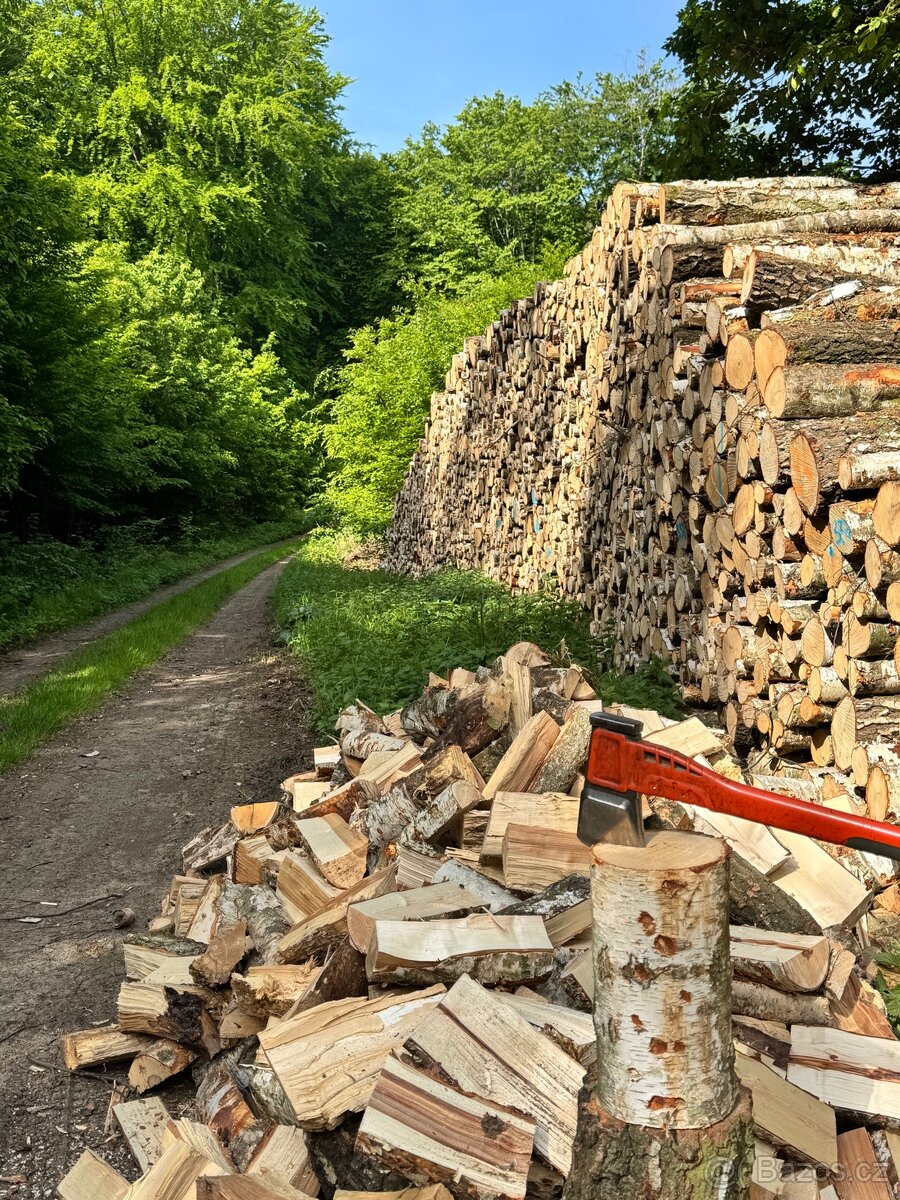 Prodej palivového dřeva - 5
