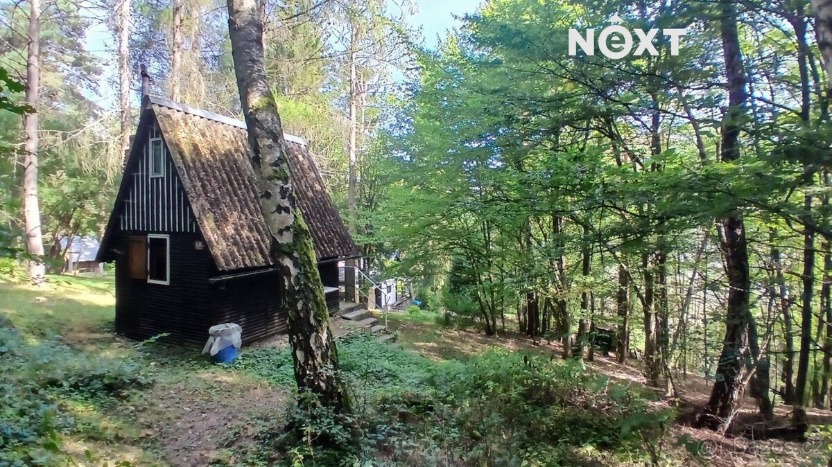 Prodej pozemek Lesy, 1228㎡ - 5