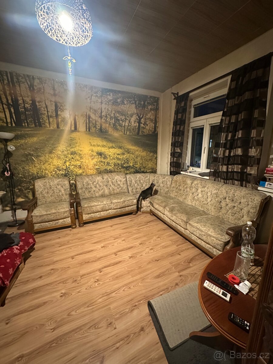 Holandsky nabytek- gauc +kreslo+ taburet - 5