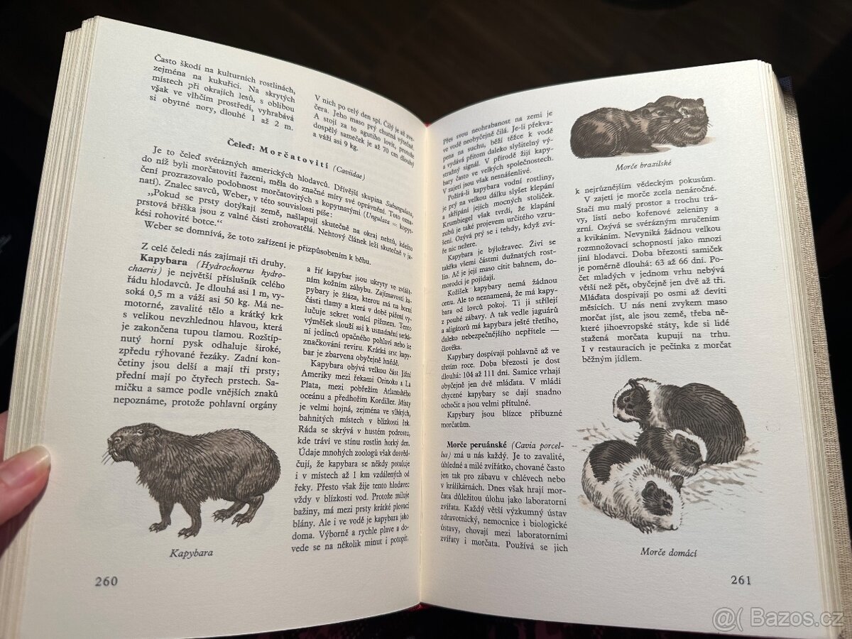 Světem zvířat - 5