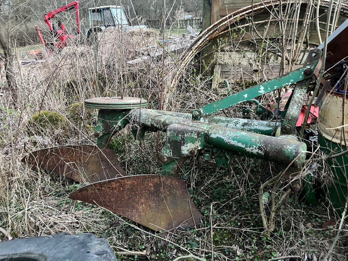 Pluh dvouradličný - 5