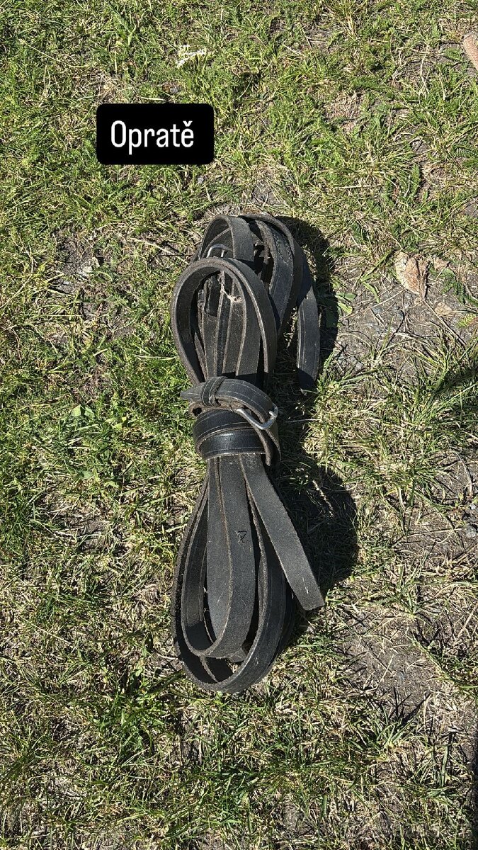 Prodám tažné postroje na koně - 5