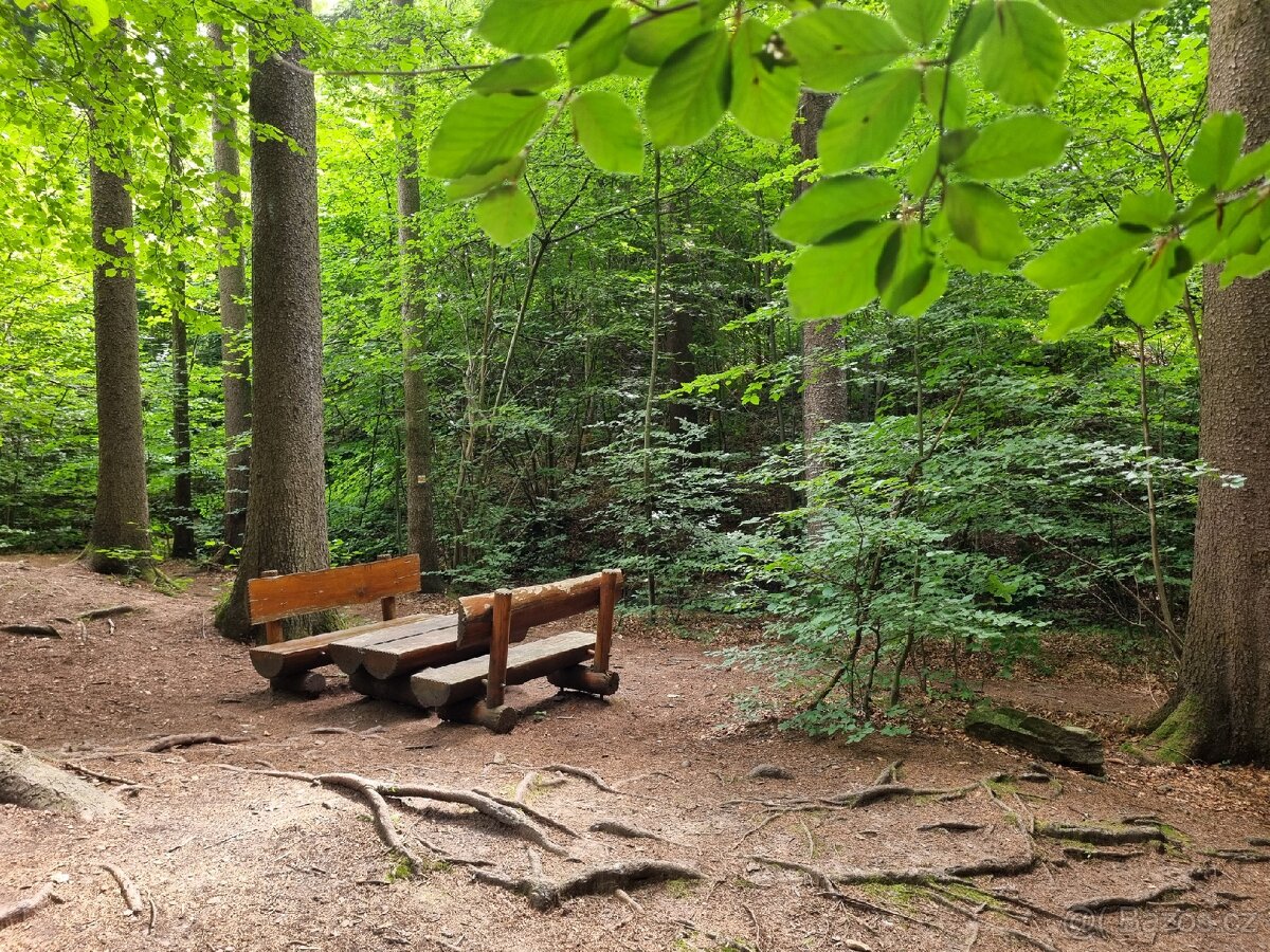 Prodej chaty v CHKO Železné hory - 5