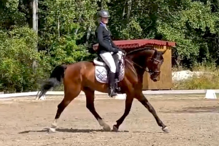 7 lety valach do sportu - 5