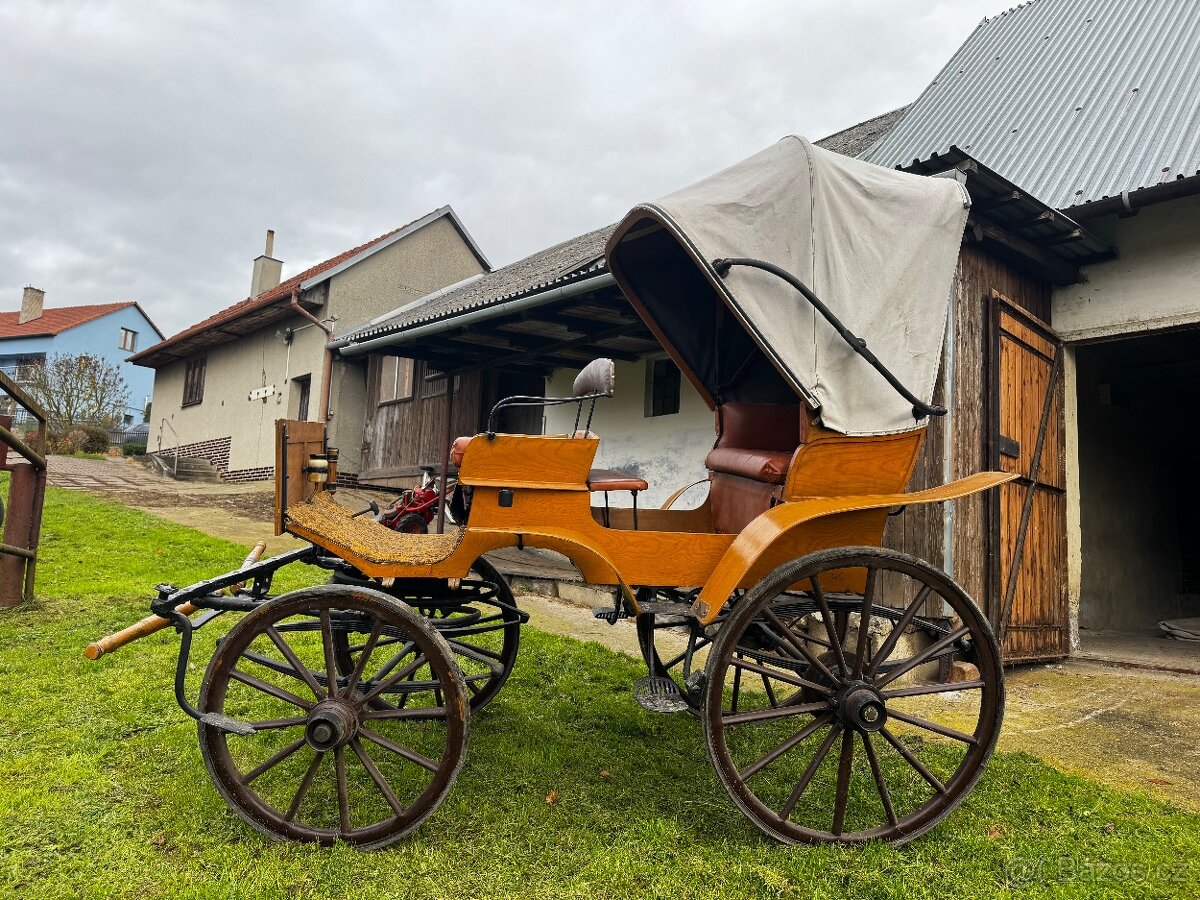 Kočár za koně - 5
