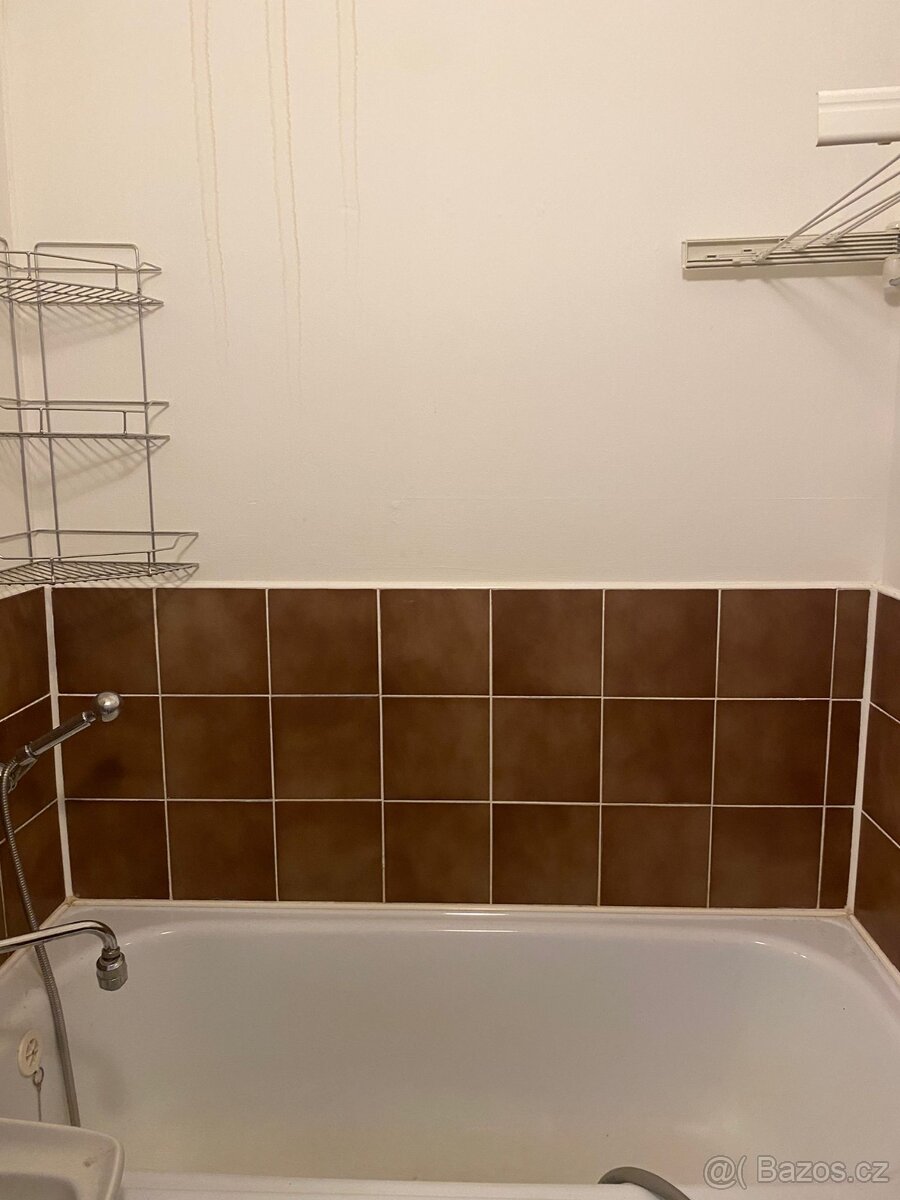 Prodám byt na Zeyrove ulici 3+1 - 5