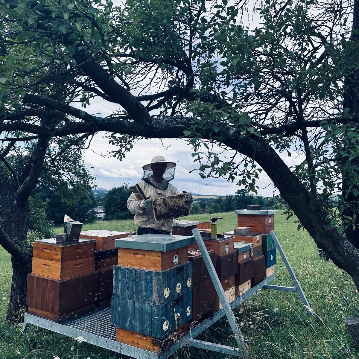 Vyzimovaný oddělek - 5