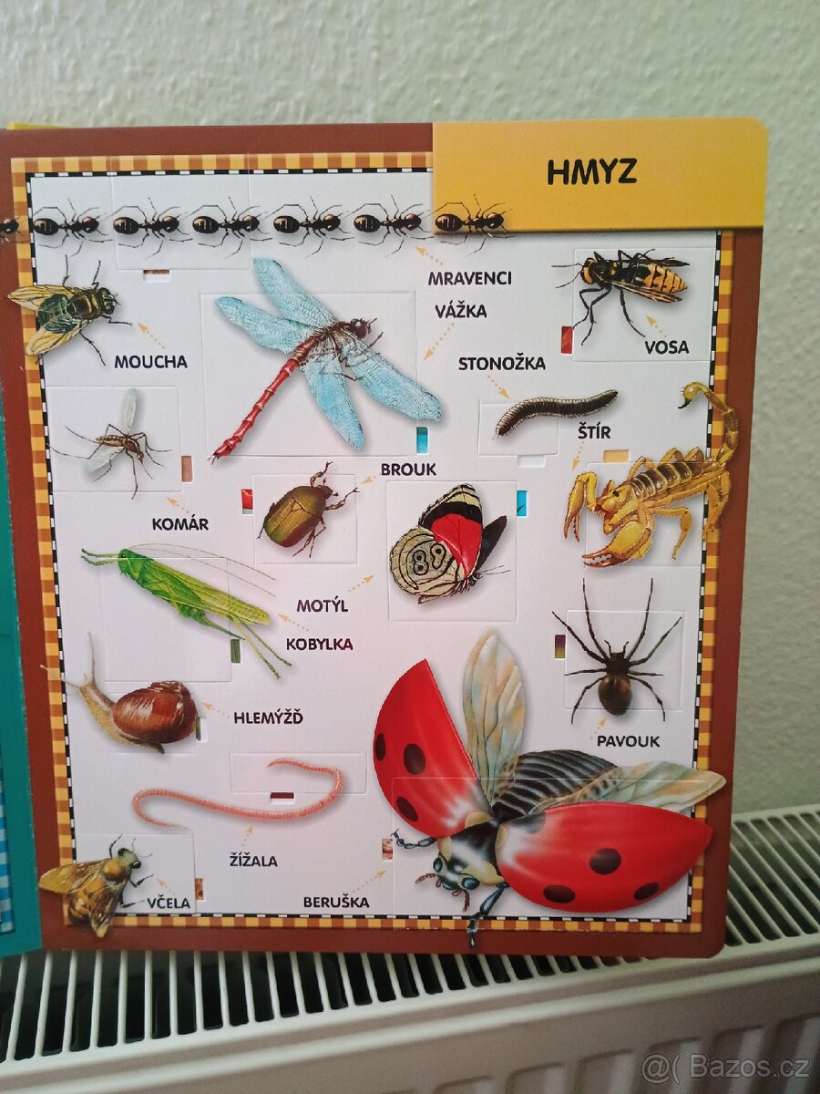 Knížka Zvířata,100 otevíracích okének - 5