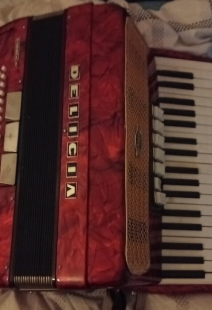Harmonika akordeon delicia - 5