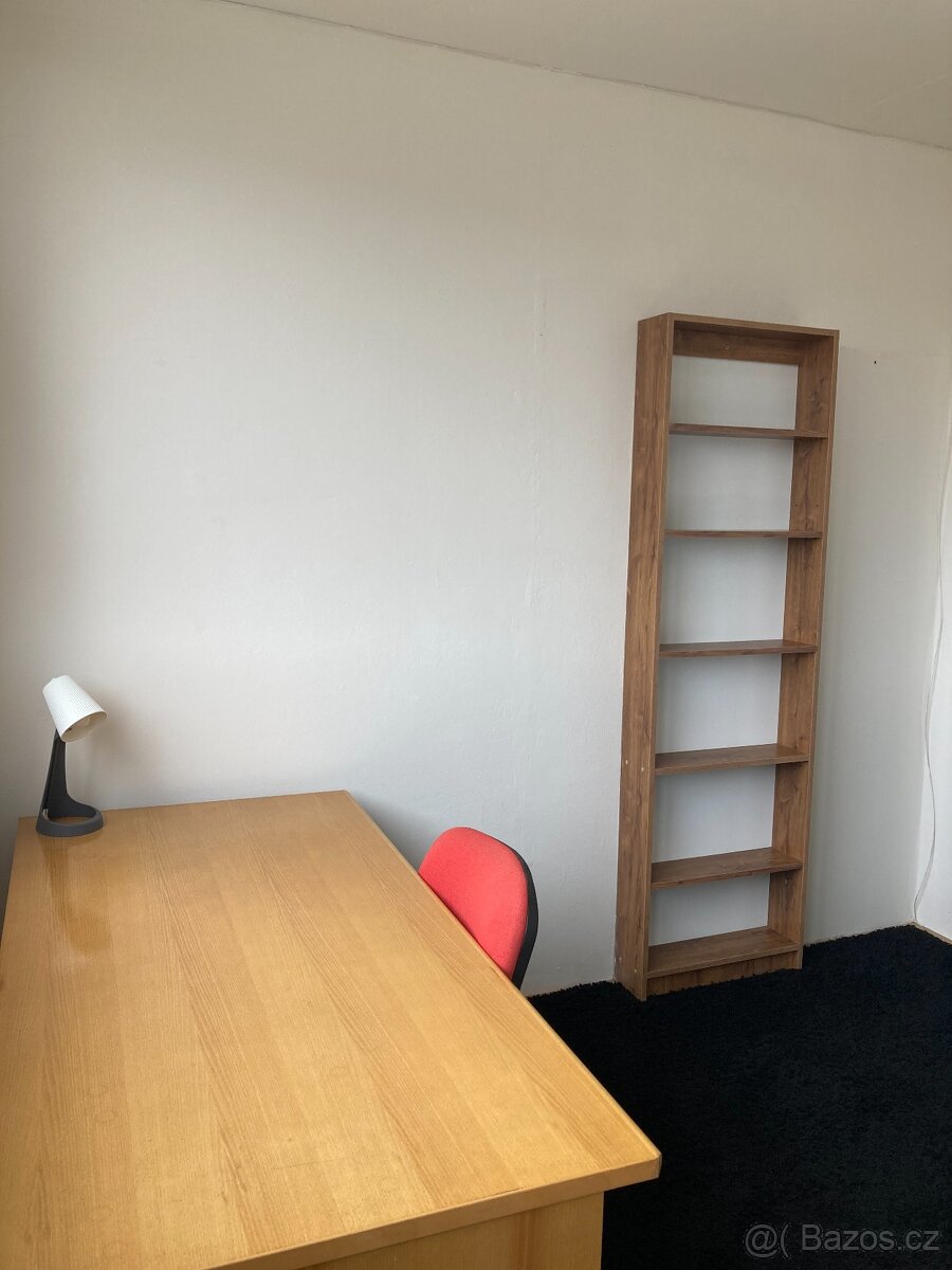 Pronájem pokoje v bytě 3+1, Brno-Štýřice - 5