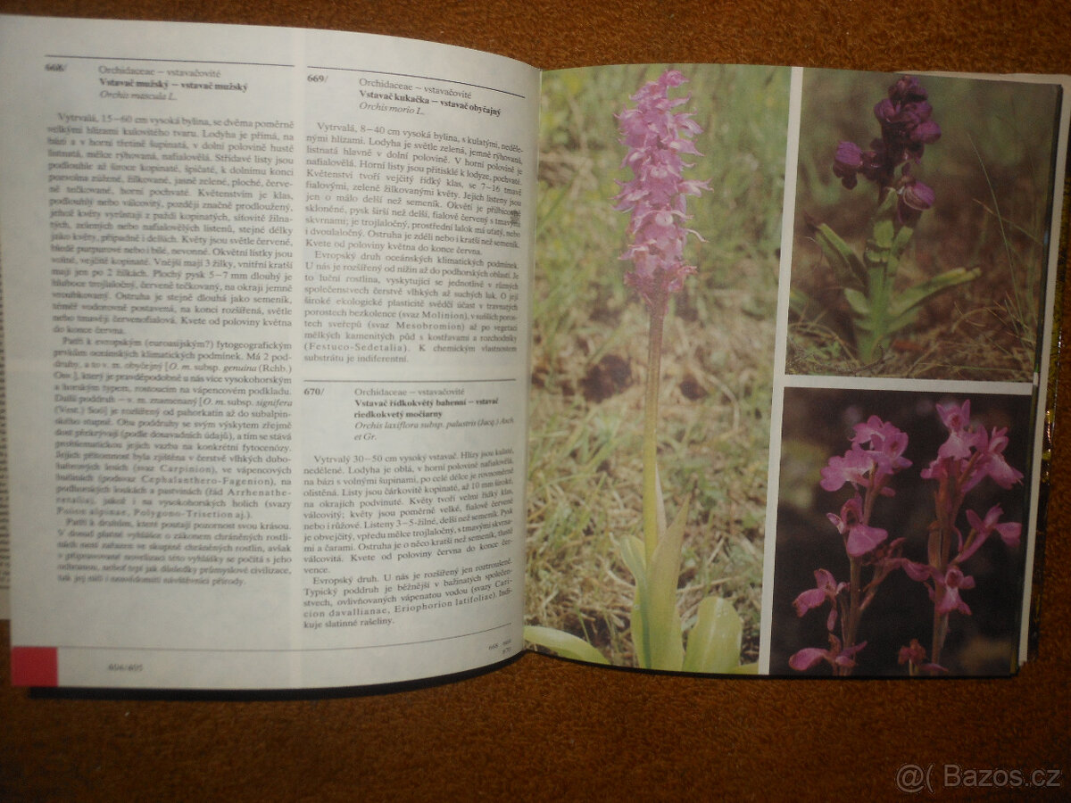 Barevný atlas rostlin - 5