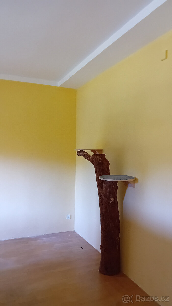 Malířství a natěračství - 5