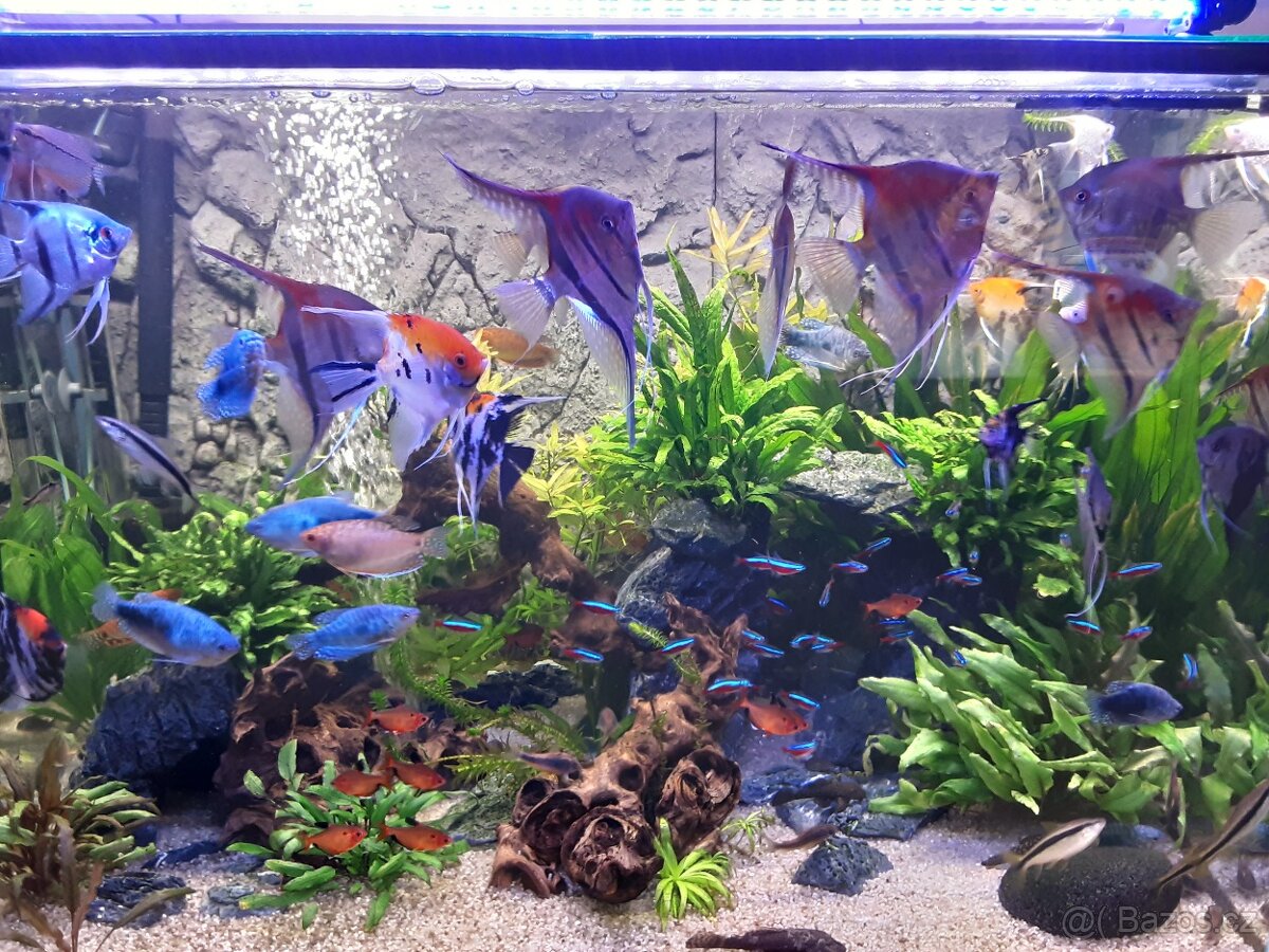 Akvárium sklo optiwhite - 5