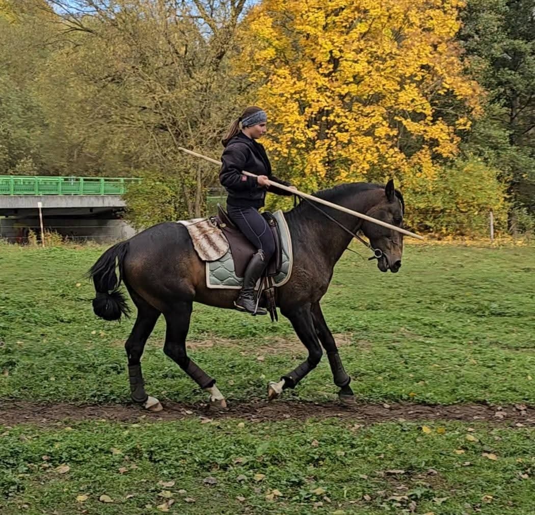PŘIPOUŠTĚNÍ PSL - 5