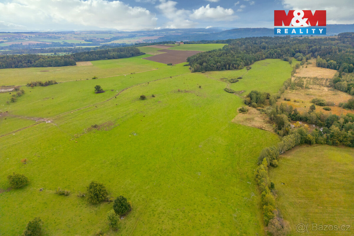 Prodej louky, 4266 m², Spálené Poříčí - 5