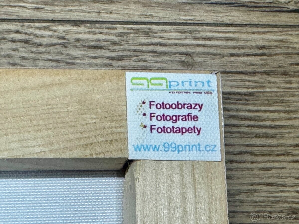 Fotoplátno "Carolina Hurricanes NHL" - 80 x 60 cm - 5