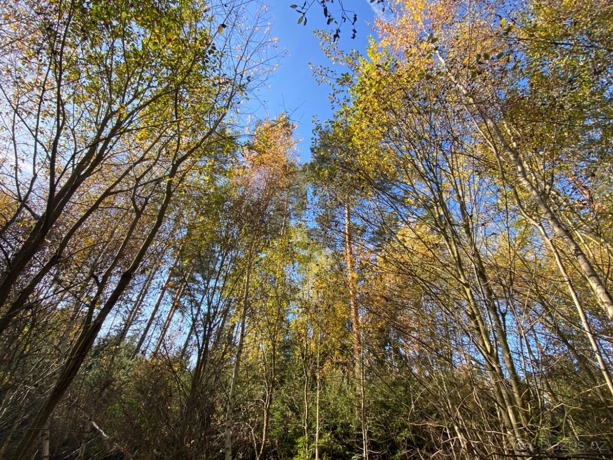 Pozemek 476m2 Klatovy - Dehtín - 5