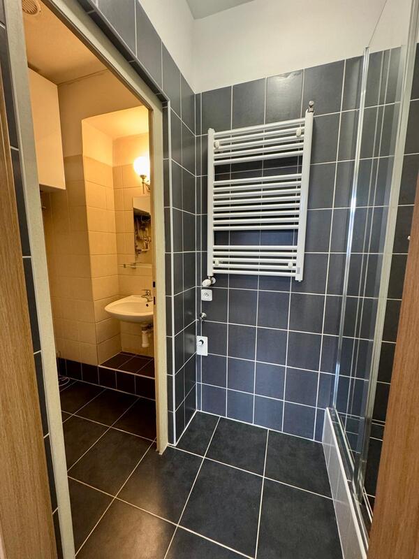 Pronájem bytu 1kk, 28m2, Pardubice-centrum - 5