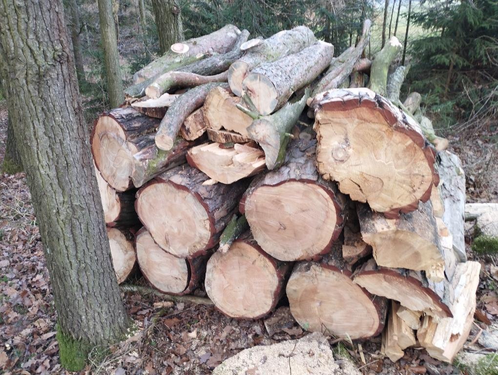 Palivové dřevo - 5