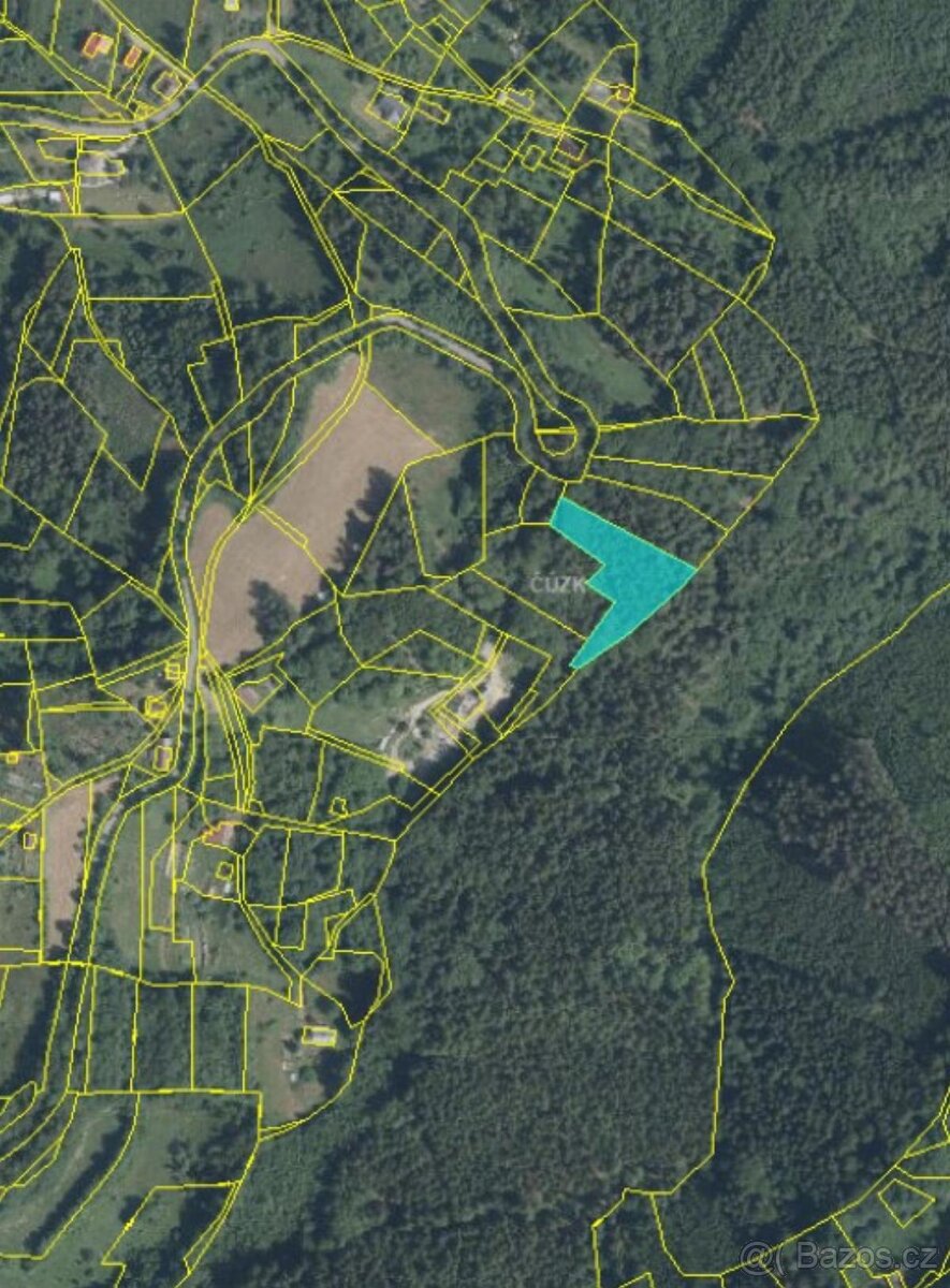 Prodám lesní pozemek v k.ú. Líšný - 5