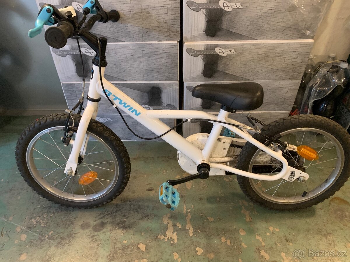 B twin Inuit 100 - 5