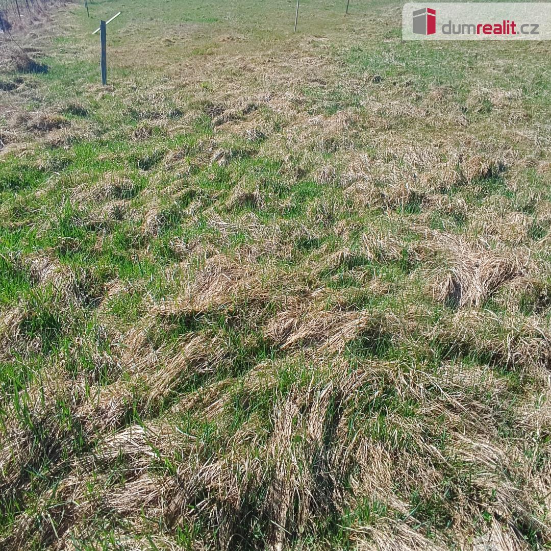 Prodej pozemku o rozloze 1146 m2 určeného k zastavění, Fojto - 5