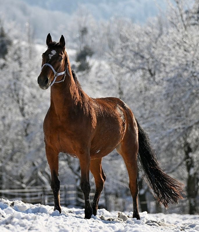 VALACH PARŤÁK PRO ŽIVOT A REKREACI - 5