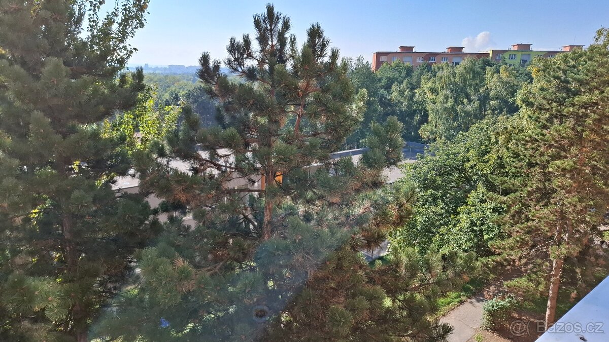 Pronájem bytu 1+1 ve 3.patře v ulici Školní pěšina,Chomutov - 5