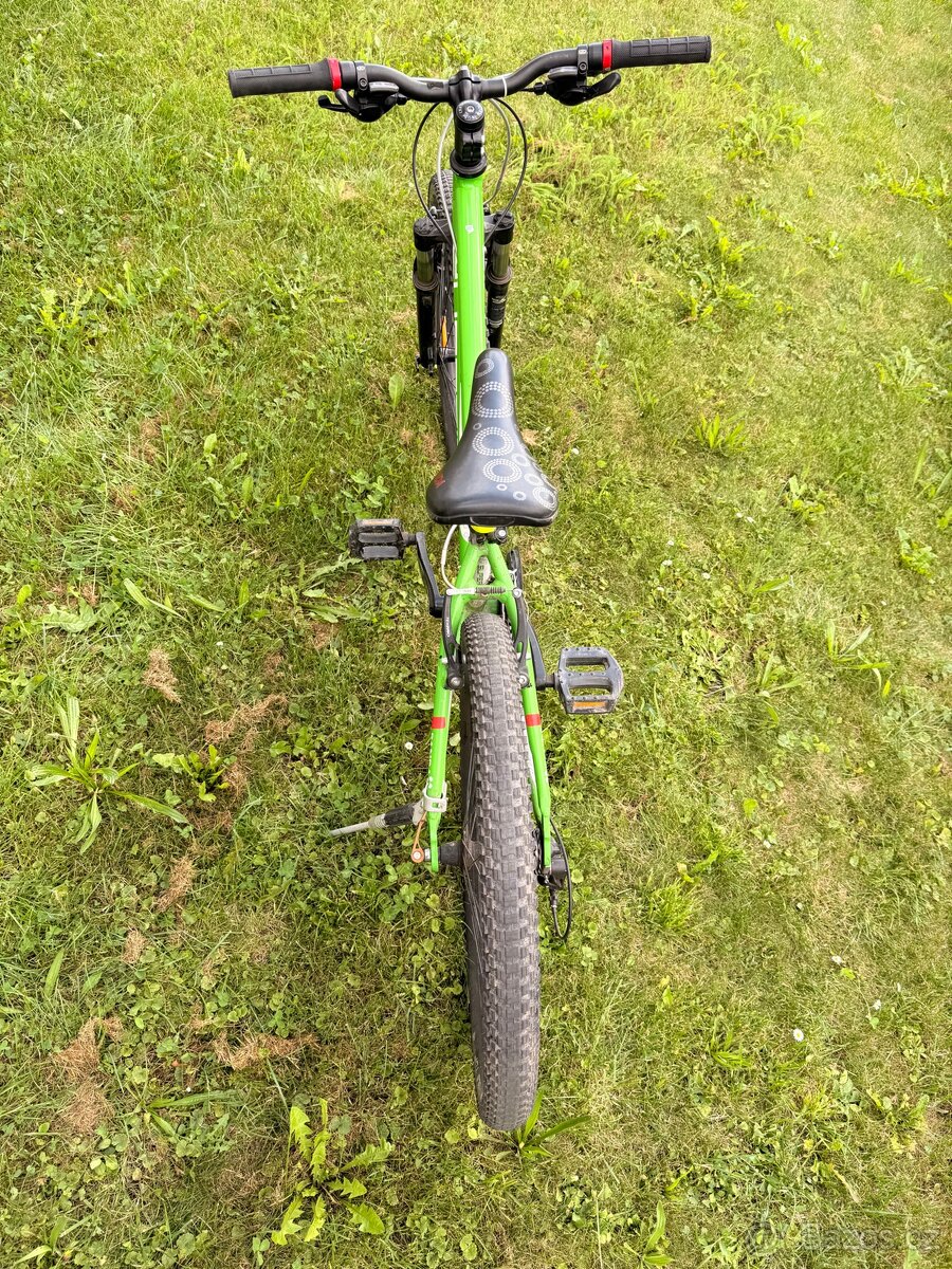 Superior 24” -Panda - 5