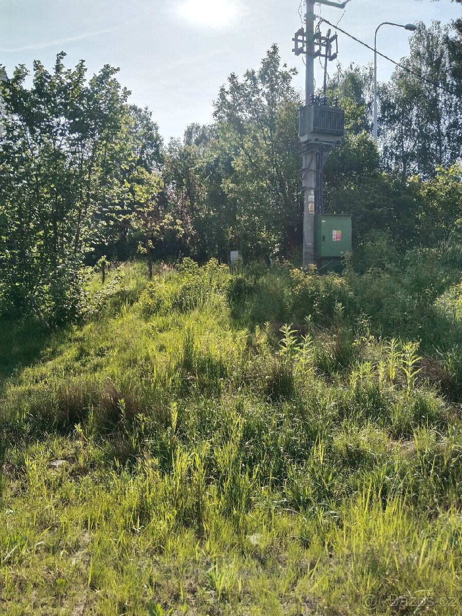 pronajem zahrady P R O N A J A T O volne 2/2026 - 5